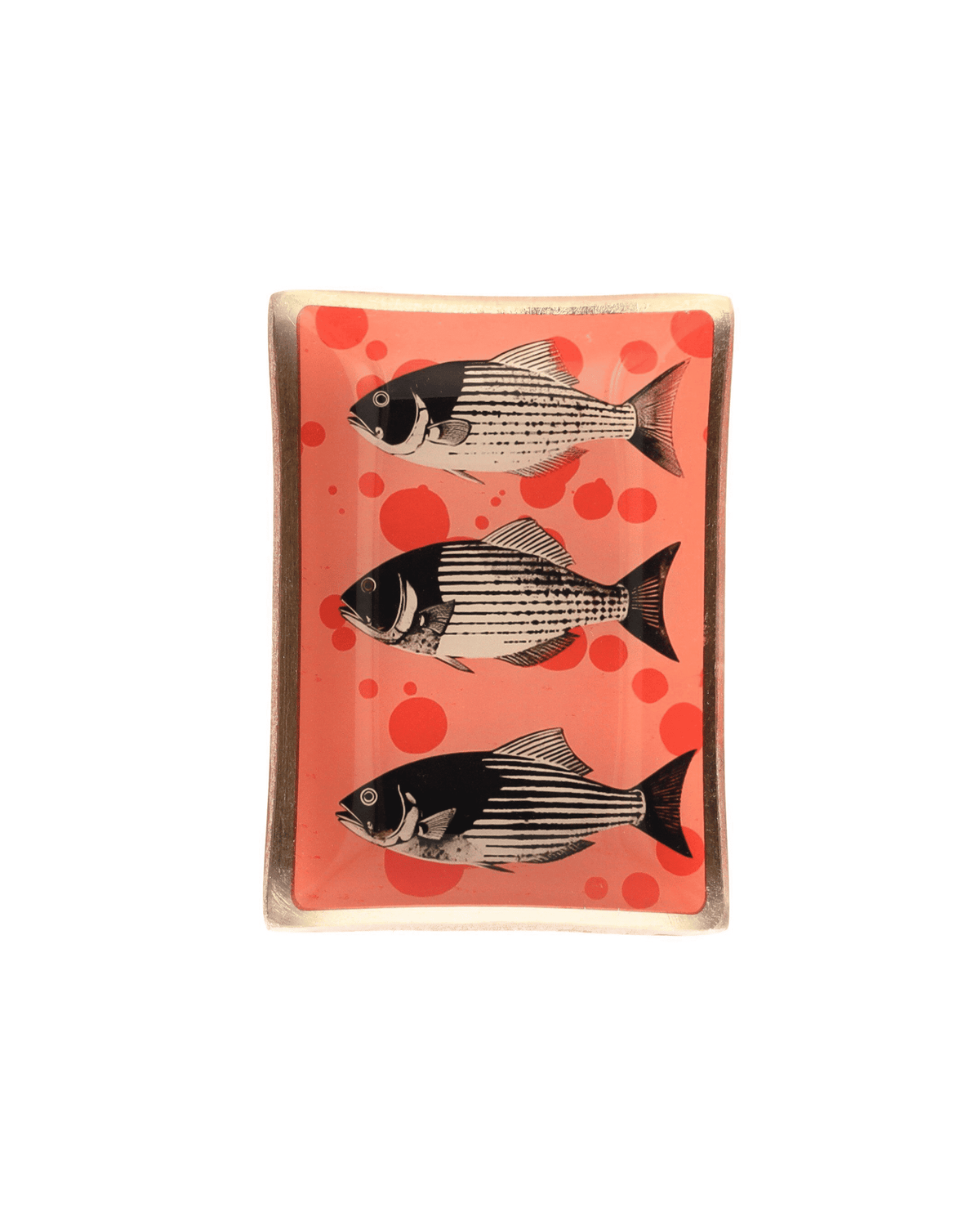Glasteller Fische